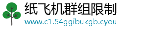 纸飞机群组限制